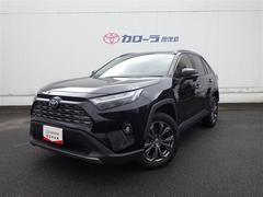 トヨタ　ＲＡＶ４　ハイブリッドＧ　４ＷＤ　フルセグ　メモリーナビ