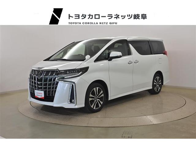 ２．５Ｓ　Ｃパッケージ　両側電動パワースライドドア　バックモニター　クルコン　キーレスエントリー　ＴＶ　ＡＢＳ　アルミホイール　エアバッグ　ドライブレコーダー　ＬＥＤヘッド　盗難防止装置　ＤＶＤ　ＥＴＣ車載器　スマートキー