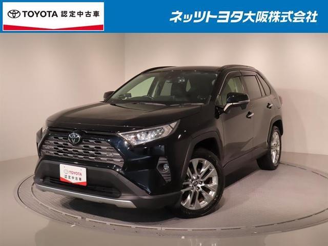 トヨタ ＲＡＶ４ Ｇ　Ｚパッケージ　サンルーフ　４ＷＤ　フルセグ　メモリーナビ　ＤＶＤ再生　バックカメラ　衝突被害軽減システム　ドラレコ　ＬＥＤヘッドランプ　ワンオーナー　記録簿　元弊社試乗車