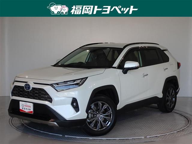 ＲＡＶ４(トヨタ) ハイブリッドＧ　メモリーナビ　ナビ＆ＴＶ　フルセグ　バックカメラ　ＥＴＣ　ＬＥＤヘッドランプ 中古車画像