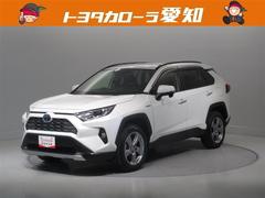 トヨタ　ＲＡＶ４　ハイブリッドＧ　衝突被害軽減システム　メモリーナビ　フルセグ