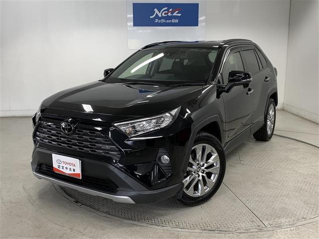 ＲＡＶ４(トヨタ) Ｇ　Ｚパッケージ　４ＷＤ　フルセグ　メモリーナビ　ＤＶＤ再生　バックカメラ 中古車画像