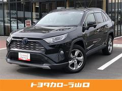 トヨタ　ＲＡＶ４　ハイブリッドＧ　４ＷＤ　フルセグ　メモリーナビ