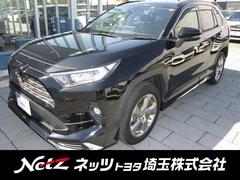 トヨタ　ＲＡＶ４　Ｇ　パワーウインドウ　エアロ　ナビ