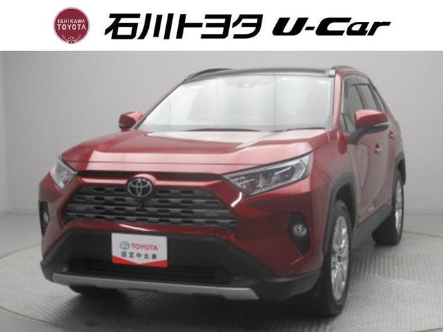 ＲＡＶ４(トヨタ) Ｇ　Ｚパッケージ　サンルーフ　４ＷＤ　フルセグ　ＤＶＤ再生　ミュージックプレイヤー接続可 中古車画像