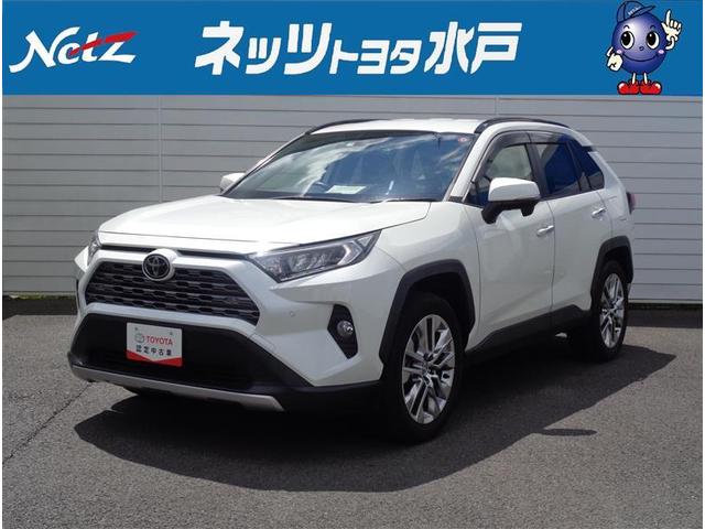 トヨタ ＲＡＶ４ Ｇ　Ｚパッケージ　４ＷＤ　フルセグ　メモリーナビ　バックカメラ　衝突被害軽減システム　ＥＴＣ　ドラレコ　ワンオーナー　記録簿