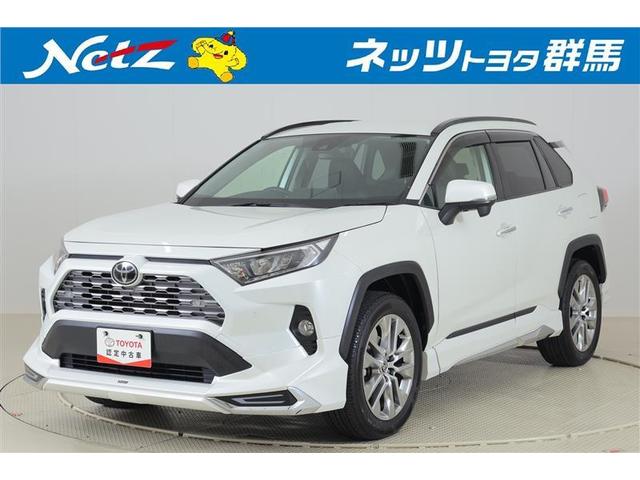 トヨタ ＲＡＶ４ Ｇ　Ｚパッケージ　エアロ　助手席エアバッグ　ＬＥＤ　ナビ＆ＴＶ　スマートキー　パワーシート　盗難防止装置　ドライブレコーダー　横滑り防止装置　キーレス　４ＷＤ　クルコン　バックカメラ　オートエアコン　ＥＴＣ　ＤＶＤ