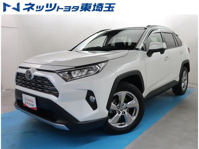 ＲＡＶ４(トヨタ) Ｇ　社用車　純正ＳＤナビ　バックカメラ　クリアランスソナー　パワーバックドア　ブラインドスポットモニター 中古車画像