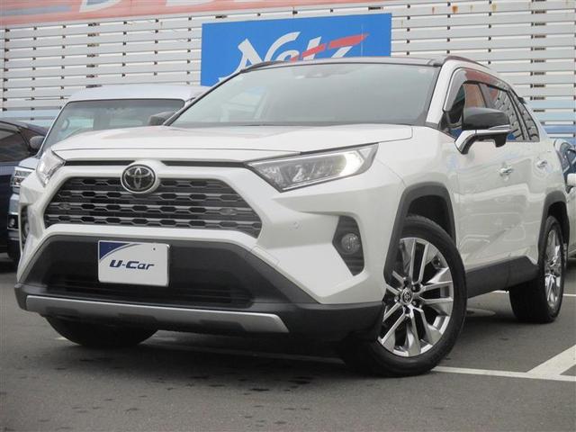 ＲＡＶ４(トヨタ) Ｇ　Ｚパッケージ　革シート　４ＷＤ　フルセグ　メモリーナビ　ＤＶＤ再生 中古車画像