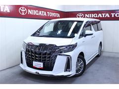 トヨタ　アルファードハイブリッド　Ｓ　タイプゴールド　４ＷＤ　ナビ＆ＴＶ