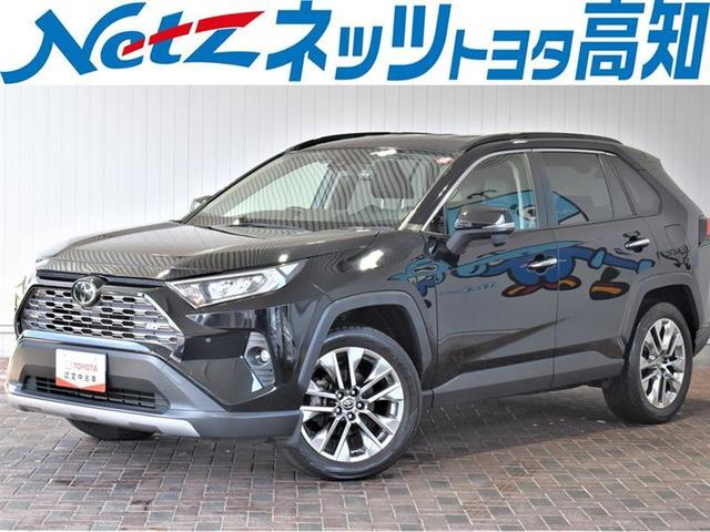 ＲＡＶ４(トヨタ) Ｇ　Ｚパッケージ　４ＷＤ　フルセグ　メモリーナビ　ＤＶＤ再生　ミュージックプレイヤー接続可 中古車画像