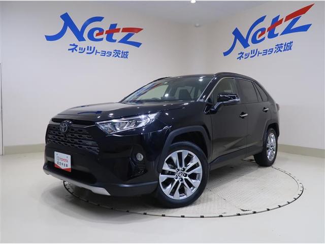 ＲＡＶ４ Ｇ　Ｚパッケージ　ディスプレイオーディオナビ　ブルートゥース　　全周囲モニター　ＥＴＣ　スマートキー　クルーズコントロール　オートエアコン　シートヒーター　電動シート　ＬＥＤライト　電動バックドア　アルミホイール