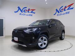 トヨタ　ＲＡＶ４　ハイブリッドＧ　ディスプレイオーディオナビ　ブルートゥース　全周囲モニター