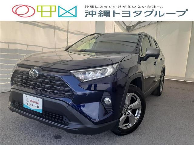 ＲＡＶ４ Ｘ　フルセグ　メモリーナビ　ＤＶＤ再生　ミュージックプレイヤー接続可　バックカメラ　衝突被害軽減システム　ＥＴＣ　ドラレコ　ＬＥＤヘッドランプ（1枚目）