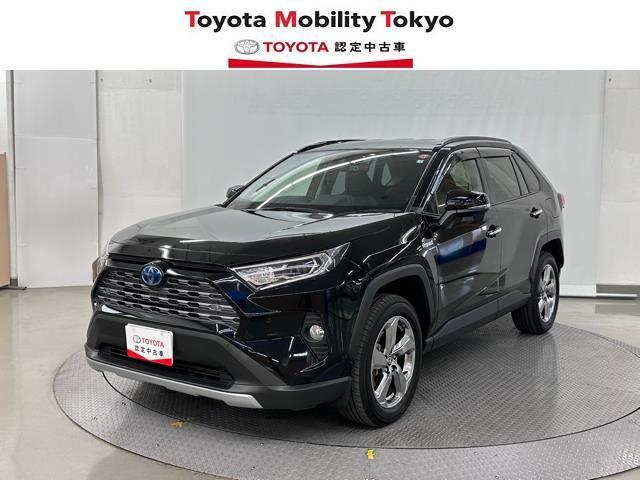 ＲＡＶ４(トヨタ) ハイブリッドＧ　衝突被害軽減ブレーキ　ＳＤナビ　ドライブレコーダー　バックモニター　ＥＴＣ　シートヒーター 中古車画像