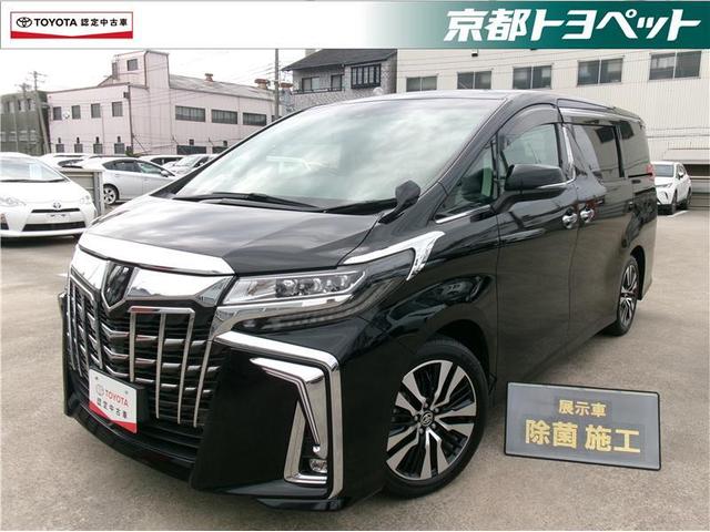 トヨタ認定中古車　近隣府県への販売に限定いたします。 ＳＤナビ・後席モニター・両側電動ドア・スマートキー付きです。（ガーデン）