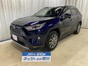 トヨタ ＲＡＶ４ ハイブリッドＧ　４ＷＤ　フルセグ　メモリーナビ...