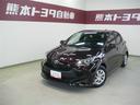carPhoto