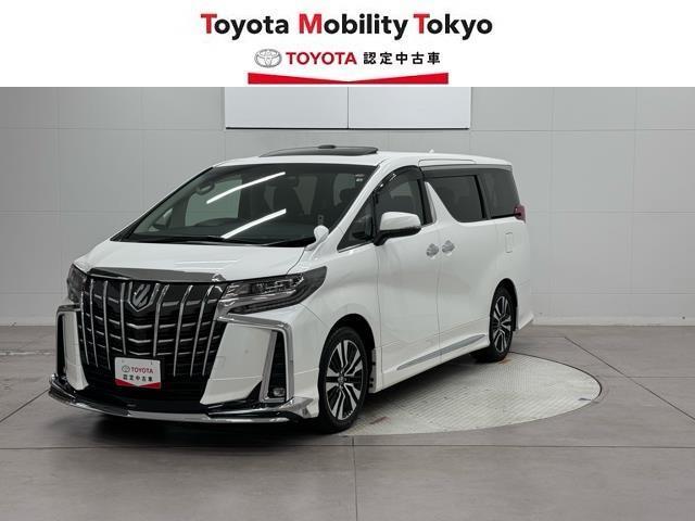 ２．５Ｓ　Ｃパッケージ　サポカー　電動両側スライドドア　サイドエアバッグ　ＤＶＤ再生可　Ｂカメ　フルセグ地デジ　ＷＡＣ　アルミ　ガラスルーフ　パワステ　盗難防止システム　ＬＥＤライト　メディアプレイヤー接続　エアコン　ＡＢＳ