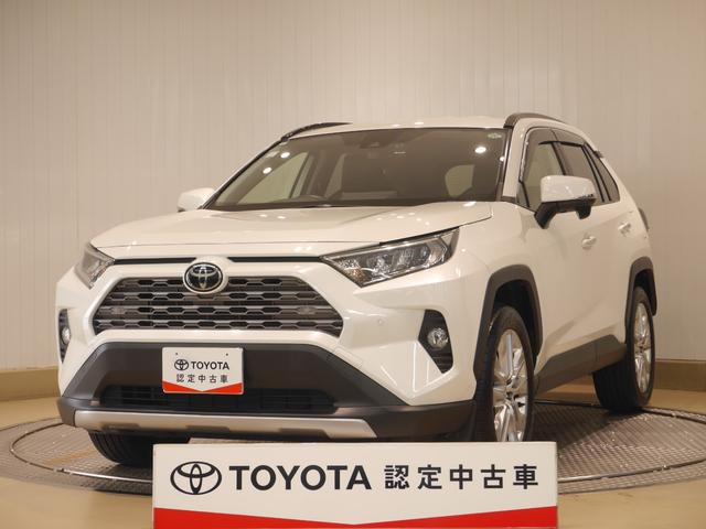 ＲＡＶ４(トヨタ) Ｇ　Ｚパッケージ　４ＷＤ　フルセグ　メモリーナビ　ＤＶＤ再生　バックカメラ 中古車画像
