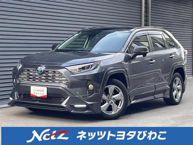 ＲＡＶ４(トヨタ) ハイブリッドＧ　パノラマムーンルーフ　ＴＲＤエアロキット　ＴＲＤオーバーフェンダー　社外メモリーナビ　バックカメラ　ＡＣＣ 中古車画像