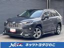 トヨタ ＲＡＶ４ ハイブリッドＧ　パノラマムーンルーフ　ＴＲＤエ...