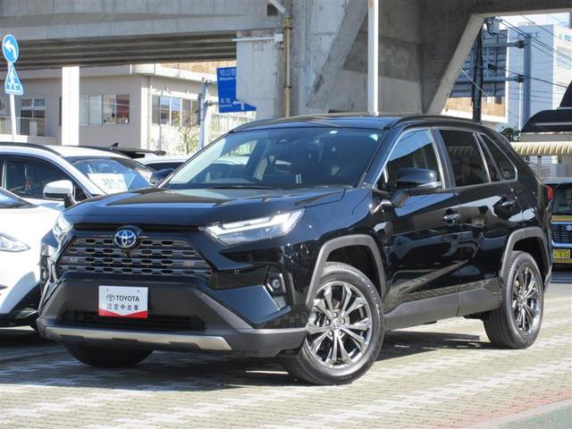 ＲＡＶ４(トヨタ) ハイブリッドＧ　サンルーフ　４ＷＤ　ミュージックプレイヤー接続可　バックカメラ　衝突被害軽減システム　ＥＴＣ 中古車画像