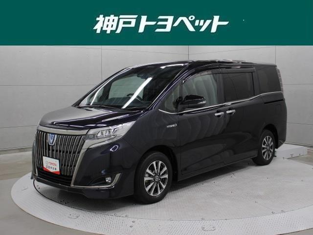 ハイブリッドＧｉプレミアムパッケジブラックテーラード　１０型ナビ　フルセグ　ＤＶＤ再生　バックカメラ　ＥＴＣ　ドラレコ　シートヒーター　クルーズコントロール　両側電動スライドドア　ＬＥＤヘッドライト　ＰＫＳＢ　ＴＳＳ