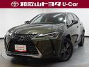 レクサス ＵＸ ＵＸ２５０ｈ　バージョンＣ　フルセグ　メモリーナ...