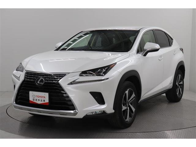 Σ Σأ衡ɥѥåϾǥ롡ʡ 0202264A20250516T002 1