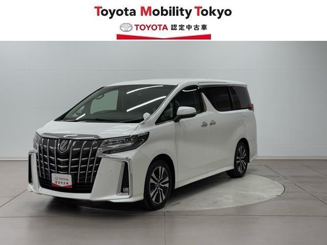 ２．５Ｓ　Ｃパッケージ　エアバック　両側パワスライドドア　ＴＶナビ　地上デジタル　寒冷地仕様　キーレスエントリー　ワンオ－ナ－　エアコン　リアエアコン　カーテンエアバック　Ｂカメラ　ＬＥＤランプ　点検記録簿　インテリキー