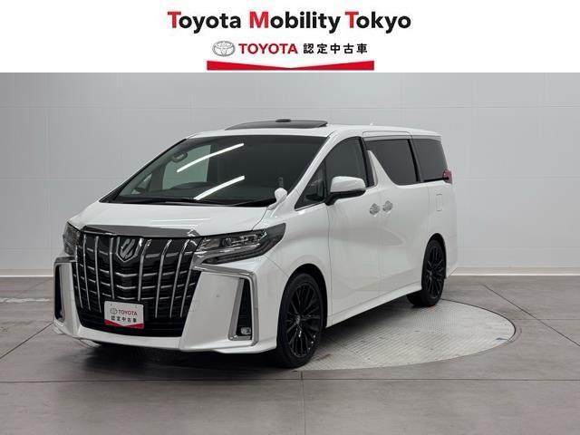 ２．５Ｓ　Ｃパッケージ　エアバック　両側パワスライドドア　ＴＶナビ　地上デジタル　サンル－フ　キーレスエントリー　ワンオ－ナ－　エアコン　リアエアコン　ＤＶＤプレーヤー　カーテンエアバック　Ｂカメラ　ＬＥＤランプ　点検記録簿