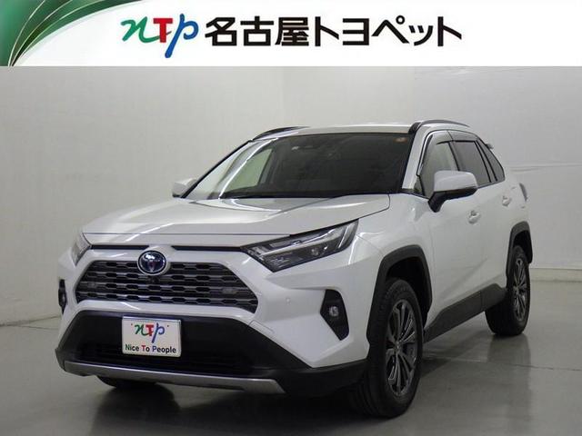 ＲＡＶ４(トヨタ) ハイブリッドＧ　衝突被害軽減システム　フルセグ　バックカメラ　ＥＴＣ　ドラレコ　ミュージックプレイヤー接続可 中古車画像