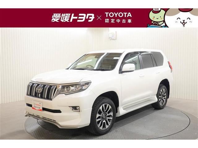 ＴＸ　Ｌパッケージ　革シート　４ＷＤ　フルセグ　メモリーナビ　バックカメラ　衝突被害軽減システム　ＥＴＣ　ドラレコ　ＬＥＤヘッドランプ　乗車定員７人　３列シート　フルエアロ　ディーゼル