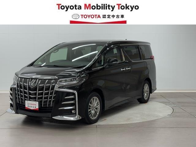 ２．５Ｓ　Ｃパッケージ　エアバック　両側パワスライドドア　ＴＶナビ　地上デジタル　キーレスエントリー　エアコン　リアエアコン　ＤＶＤプレーヤー　カーテンエアバック　Ｂカメラ　ＬＥＤランプ　点検記録簿　インテリキー　ＷエアＢ