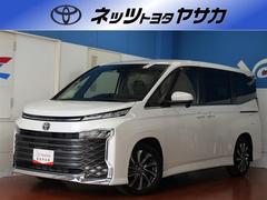 トヨタ　ヴォクシー　Ｓ−Ｚ　フルセグ　ＤＶＤ再生　ミュージックプレイヤー接続可