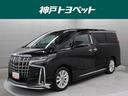 carPhoto