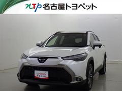 ȥ西饯ڡﳲڸƥࡡХå顡ţԣ