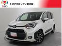 carPhoto