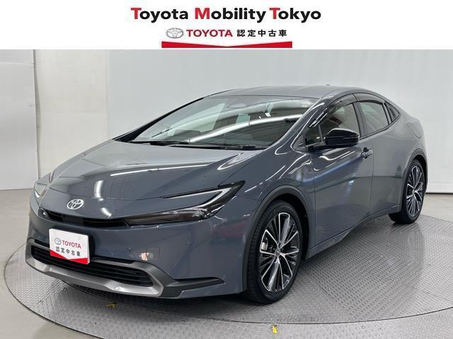 ȥ西 ץꥦ ǡʡͷڸƥࡡޡȥ