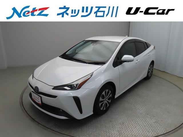 ȥ西 ץꥦ ե륻꡼ʥӡģ֣ĺ