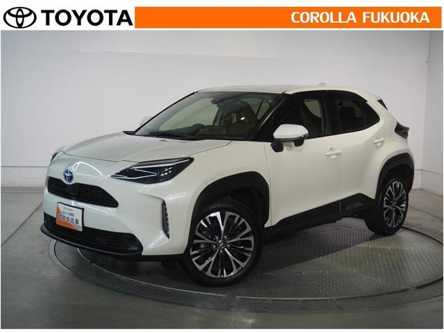 ȥ西 ꥹ ϥ֥åɣڡﳲڸƥࡡ꡼ʥӡե륻