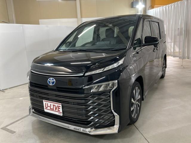 ȥ西  ϥ֥åɣӡݣڡѥɥģ֣ĺǽƥꥭ