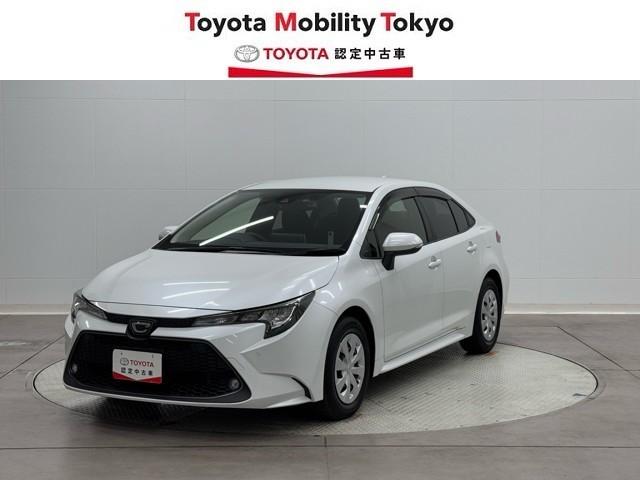 ȥ西  ǡݣءץ饹Хå˥ɻߥƥ