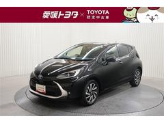 ȥ西ڡ꡼ʥӡХå顡ﳲڸƥ