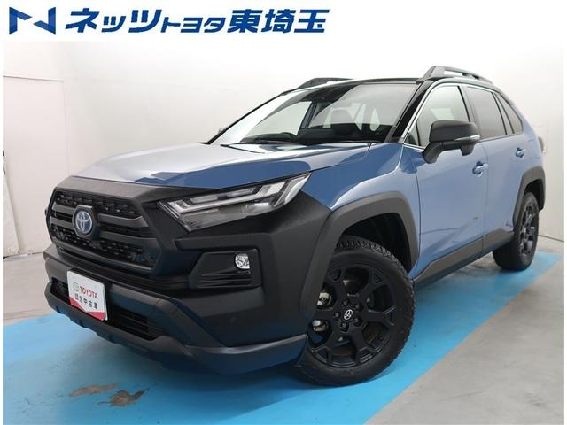 ȥ西 ң֣ ϥ֥åɥɥ٥㡼եɥѥåɣɡѼ֡ǥץ쥤ǥ