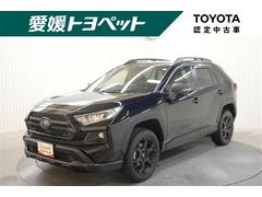 RAV4 アドベンチャー オフロードパッケージ 4WD フルセグ バックカメラ 衝突被害軽減システム ETC ドラレコ LEDヘッドランプ 記録簿 中古車画像