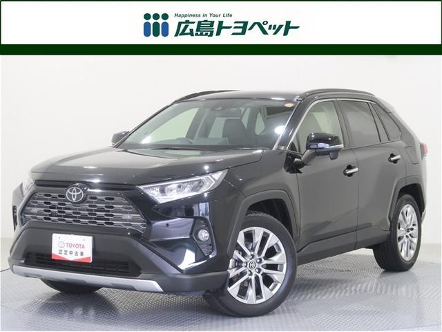 ＲＡＶ４ Ｇ　Ｚパッケージ　サンルーフ　４ＷＤ　フルセグ　メモリーナビ　ＤＶＤ再生　ミュージックプレイヤー接続可　バックカメラ　衝突被害軽減システム　ＥＴＣ　ドラレコ　ＬＥＤヘッドランプ　記録簿（1枚目）