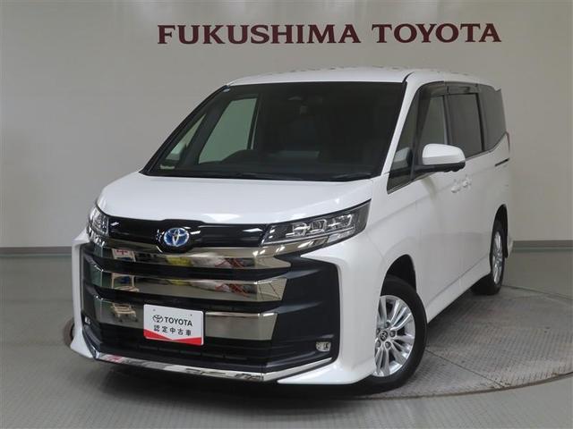 ȥ西 Υ ϥ֥åɣӡݣڡףġե륻꡼ʥ