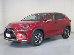 NX NX300h バージョンL フルセグ メモリーナビ DVD再生 ミュージックプレイヤー接続可 バックカメラ 衝突被害軽減システム ETC LEDヘッドランプ ワンオーナー 中古車画像